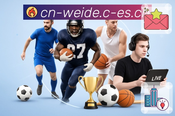 用户使用路径展示